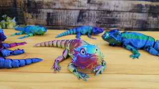 Reptiles