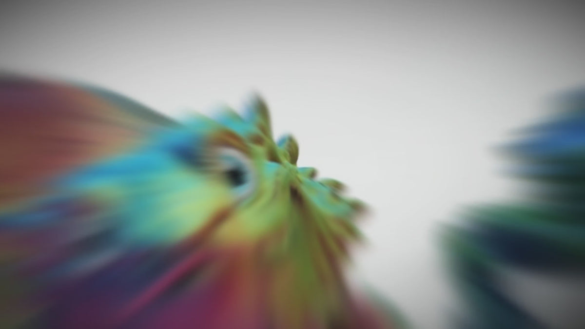 Bearded Dragon - 3D Printed Fidget